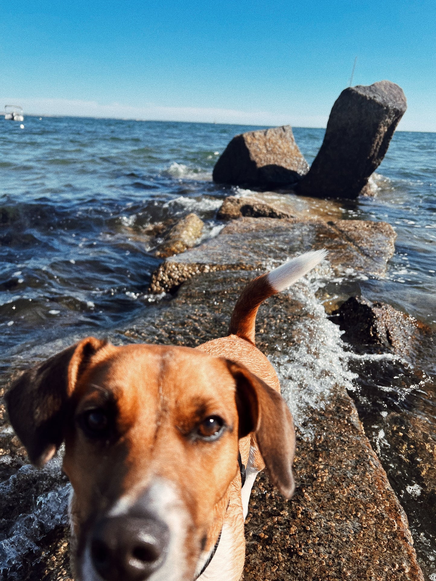 Penuche | 30ml Eau De Parfum