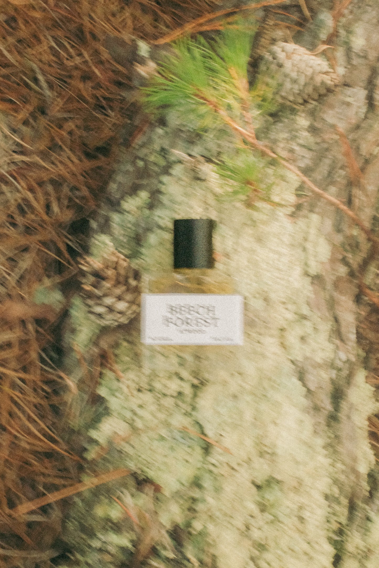 Beech Forest | 30ml Eau De Parfum