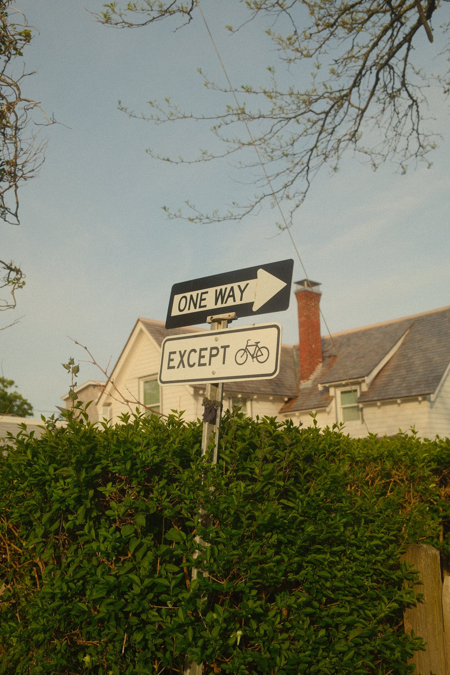 Penuche | 30ml Eau De Parfum