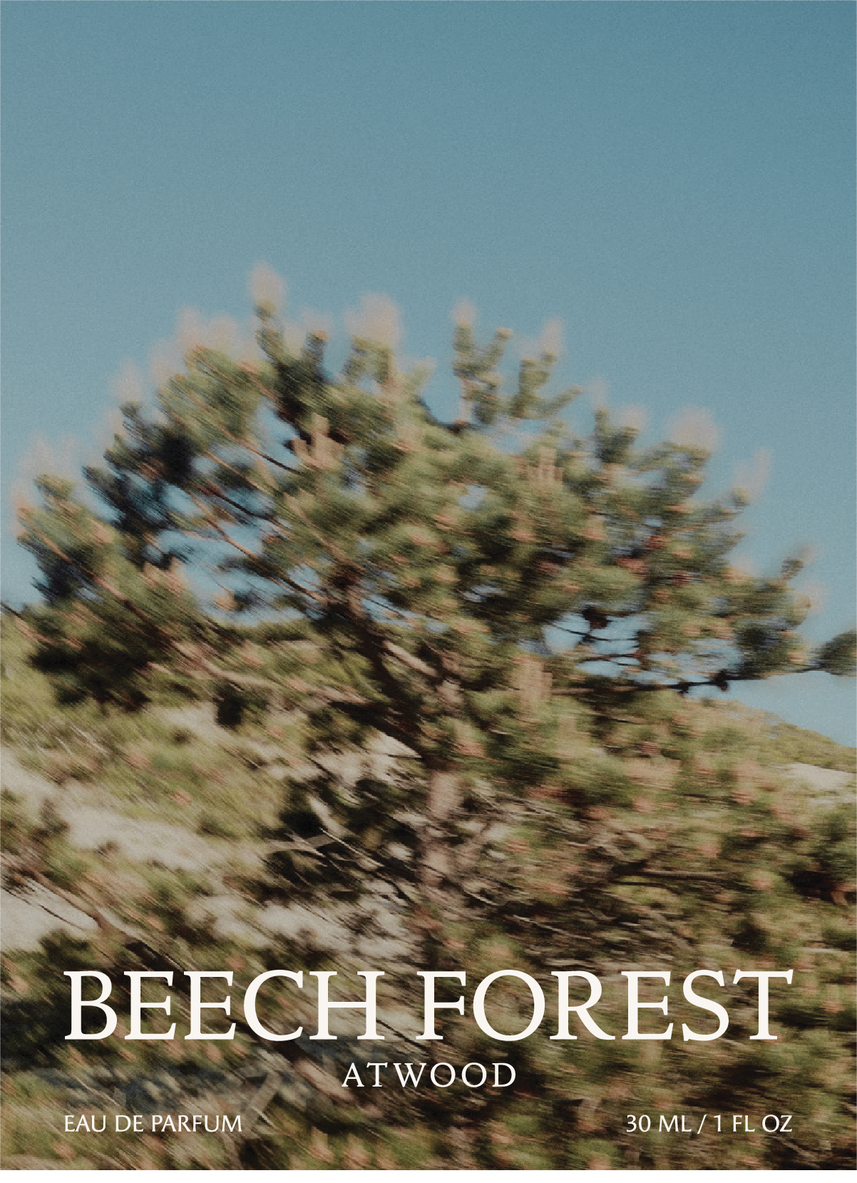 Beech Forest | 30ml Eau De Parfum