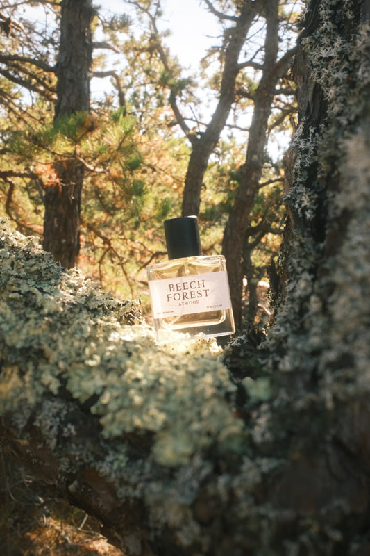 Beech Forest | 30ml Eau De Parfum